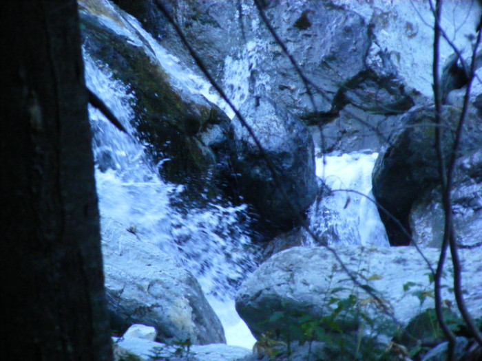 DSCF8362 - transalpina