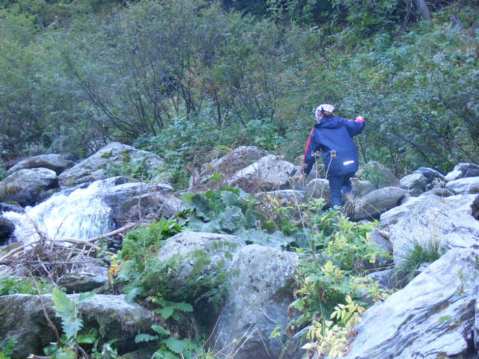 DSCF8371 - transalpina