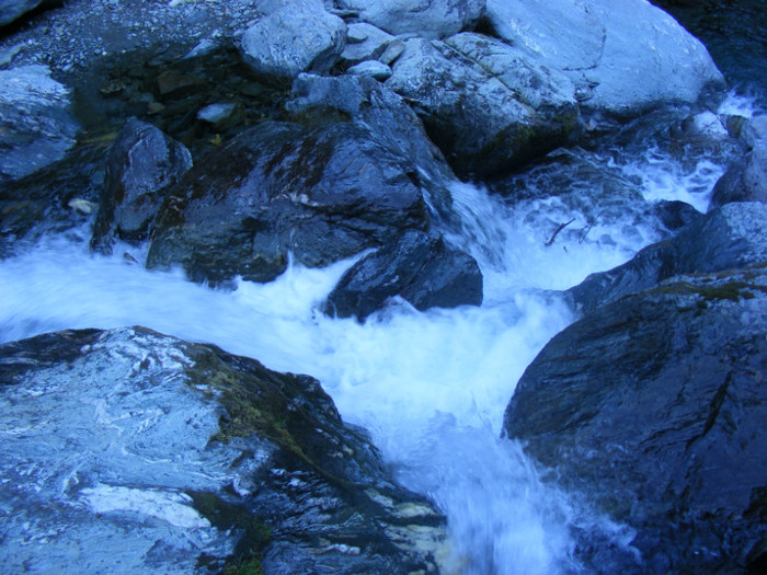 DSCF8376 - transalpina