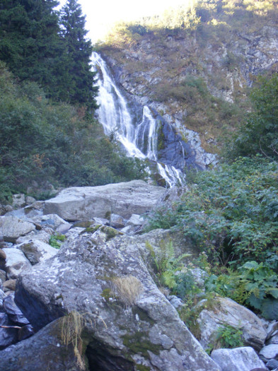 DSCF8381 - transalpina