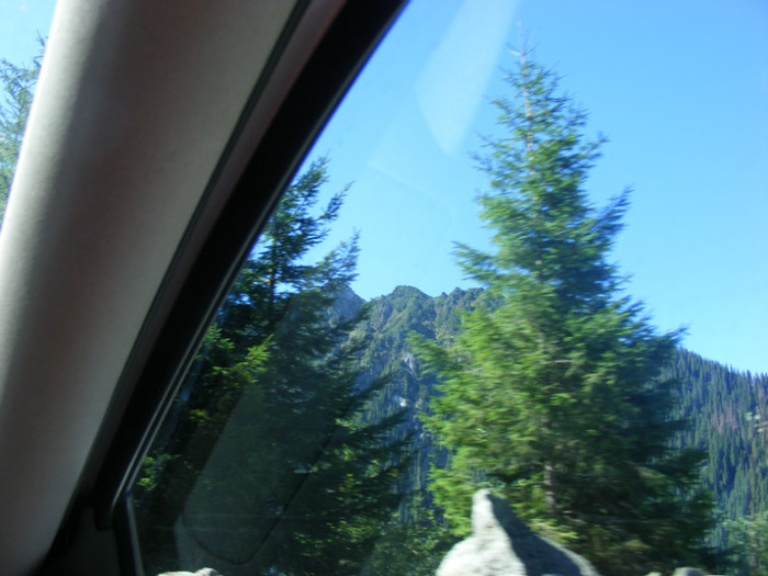 DSCF8399 - transalpina
