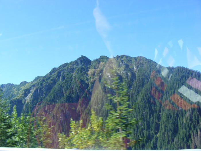 DSCF8400 - transalpina