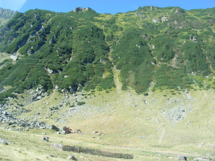 DSCF8402 - transalpina