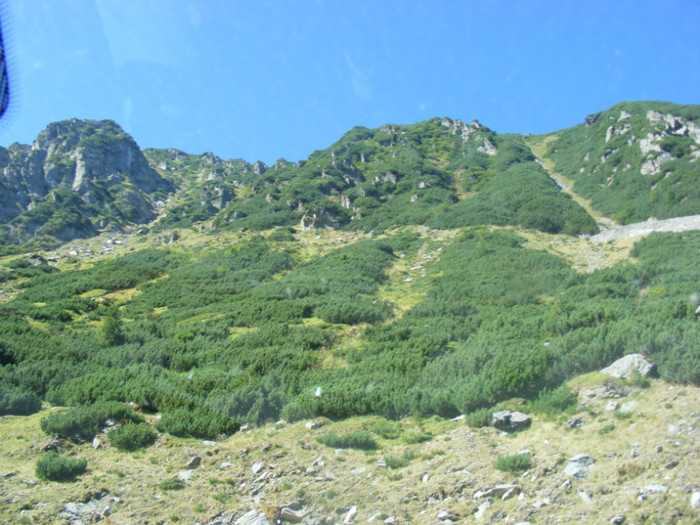 DSCF8404 - transalpina
