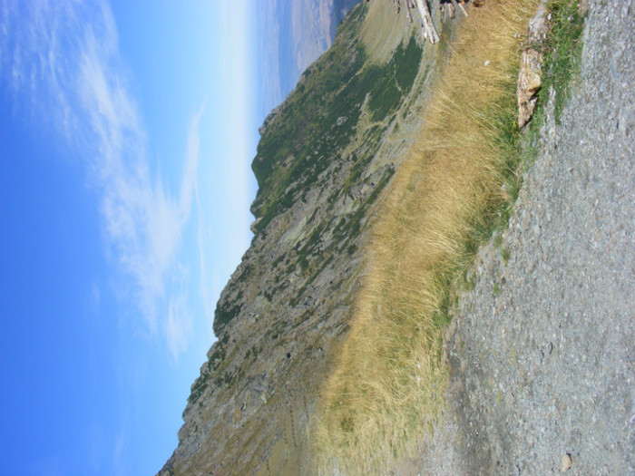 DSCF8417