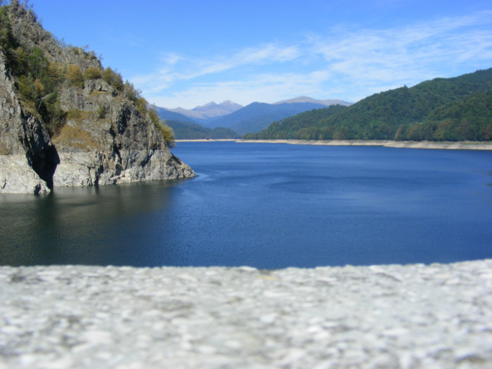 DSCF8435
