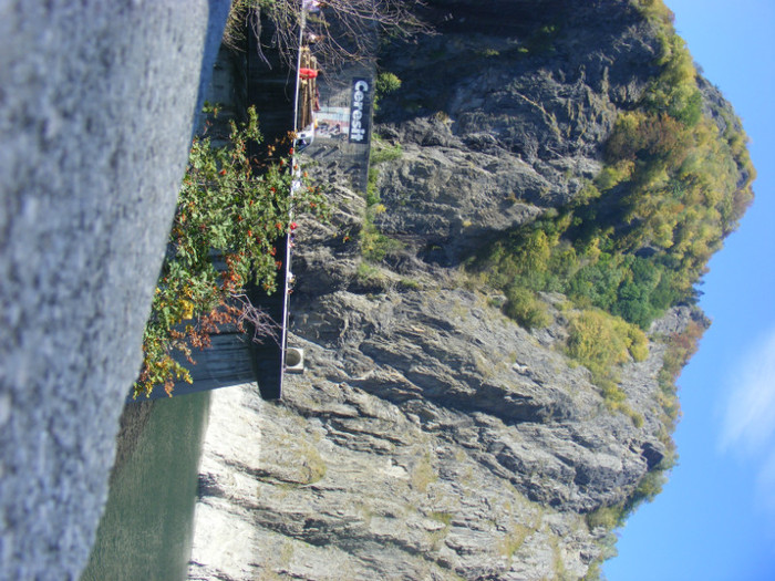 DSCF8438