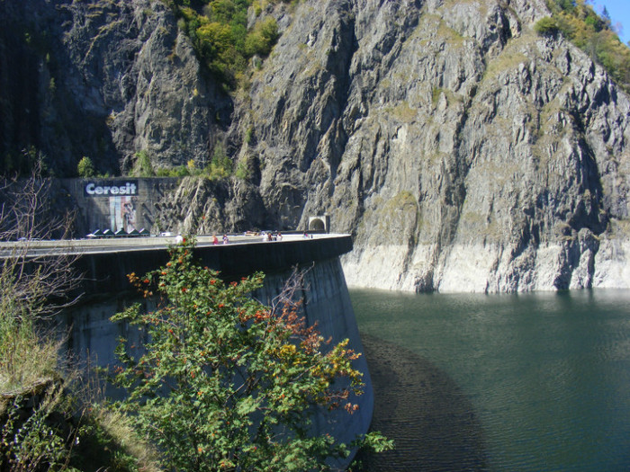 DSCF8439