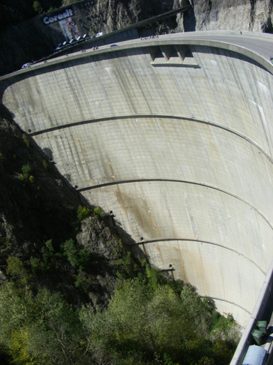 DSCF8444