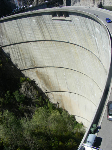 DSCF8446