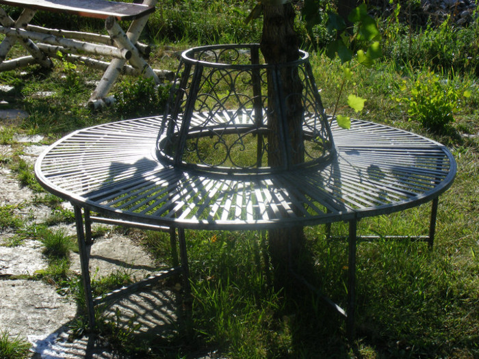 DSCF8470