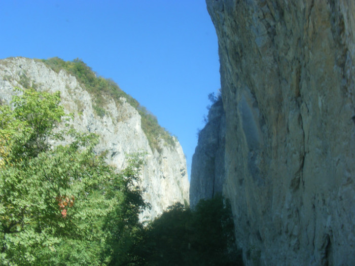 DSCF8473