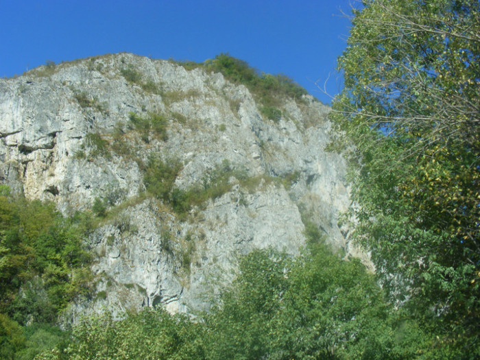 DSCF8474