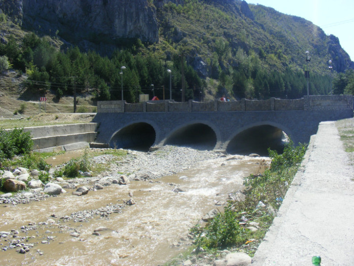 DSCF8477