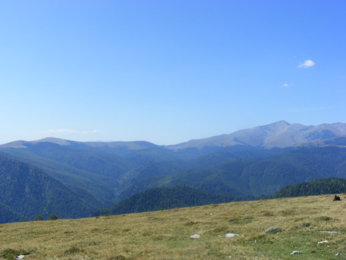 DSCF8479