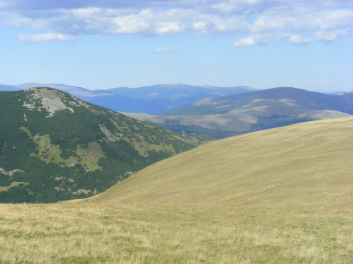 DSCF8487