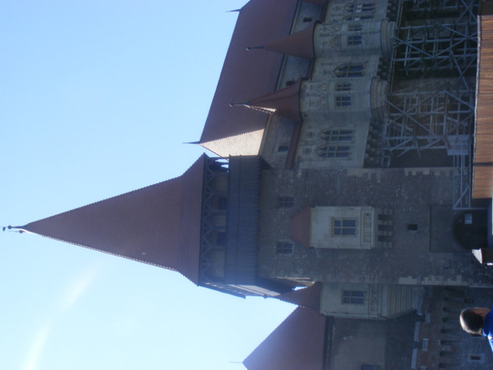 DSCF8500