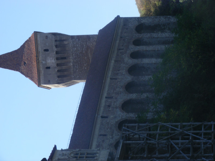 DSCF8503