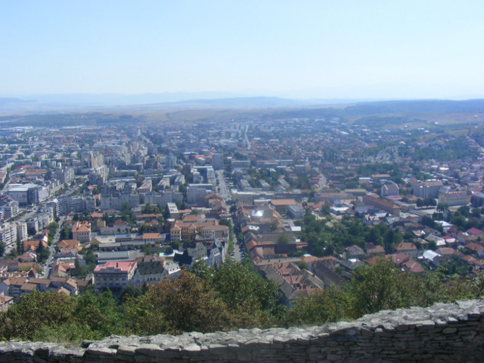 DSCF8508
