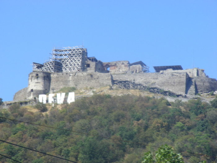 DSCF8517