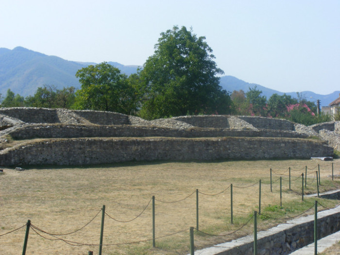 DSCF8533