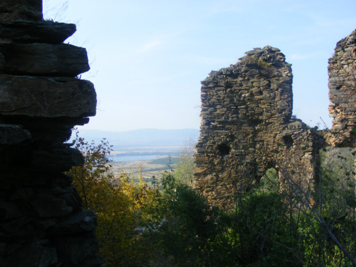 DSCF8535