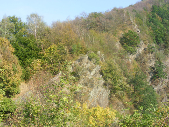 DSCF8537