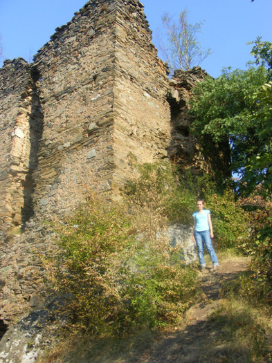 Castelul din Carpati