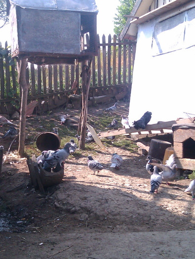 IMAG0453 - 0__ voiajori 2