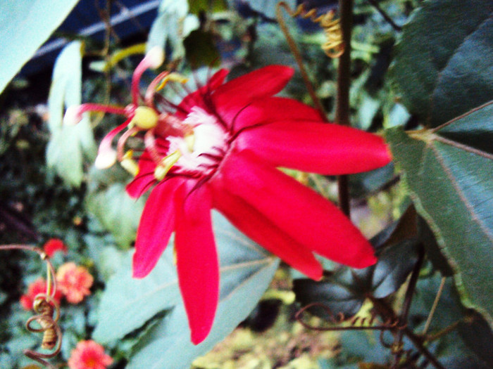 DSC00431