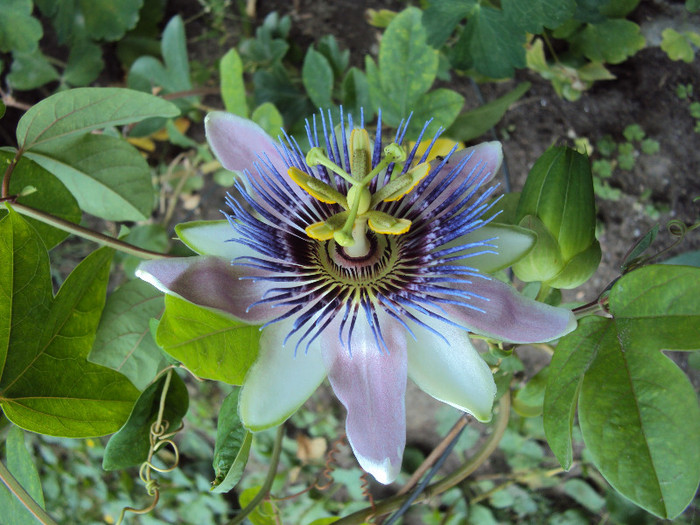 DSC00404