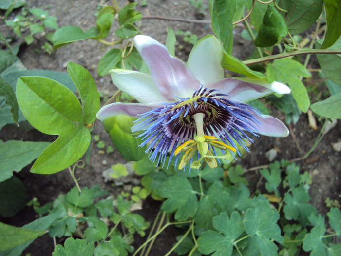 DSC00405