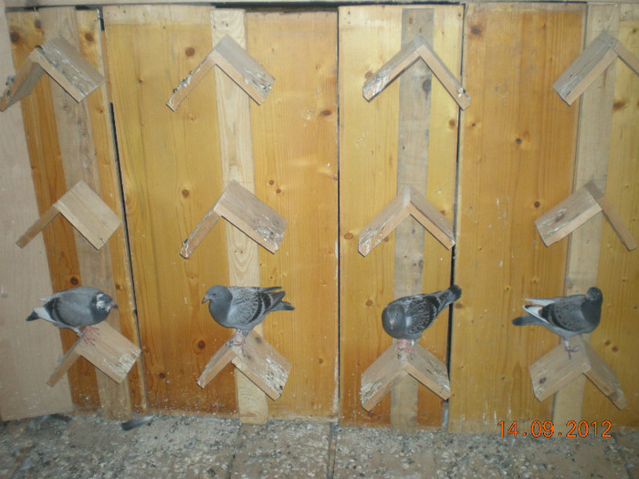 Picture 020 - Pui-2012