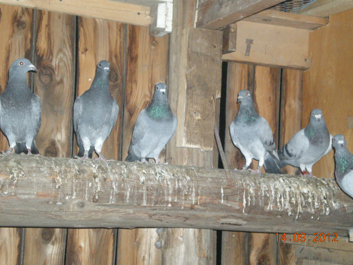 Picture 083; La gramada
