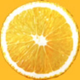 1 citrus - ELEMENTE GRAFICE