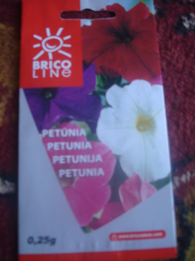 DSC06970; petunia mixte
