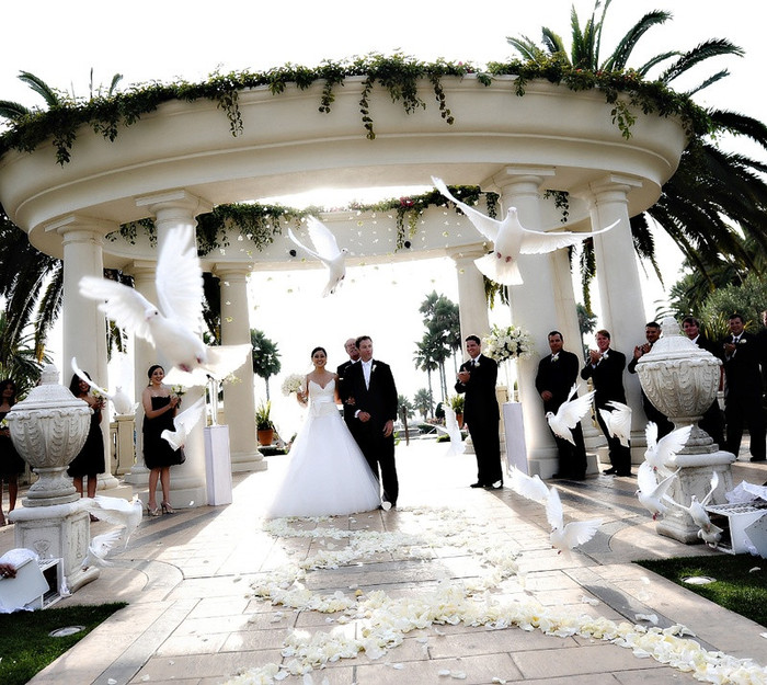 Nunta porumbei albi - Voiajori albi - de inchiriat pentru evenimente