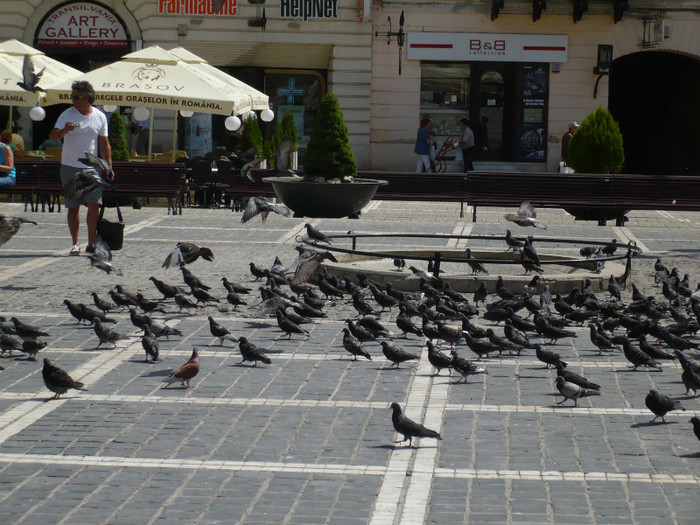 P1090265 - 26VARA 2 BRASOV 2012