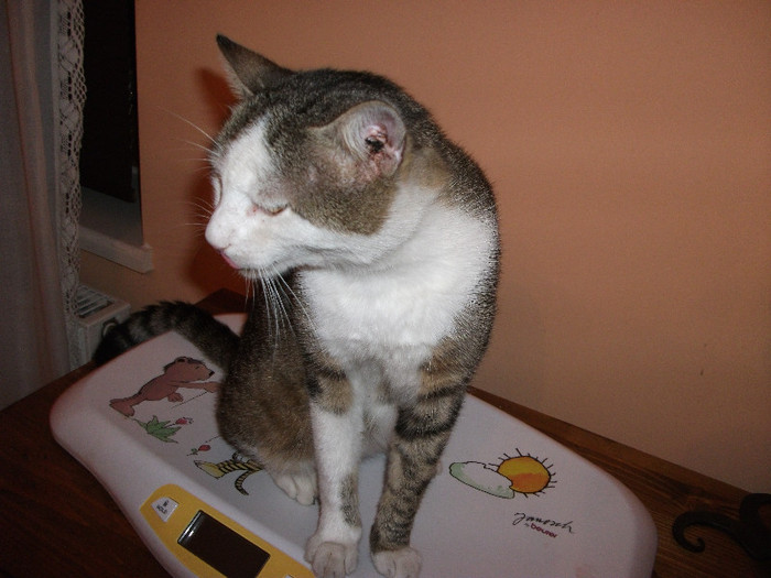 Am reusit! Ma cantaresc acum.