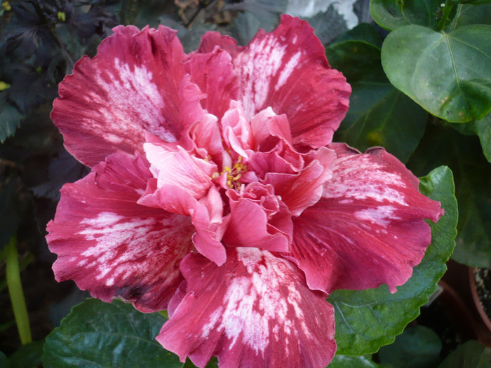 P1180373