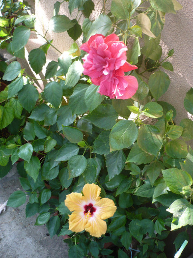 P1180376