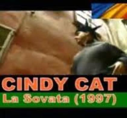Cindy Cat - Cindy Cat