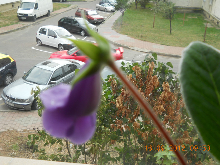 16.09.2012 008