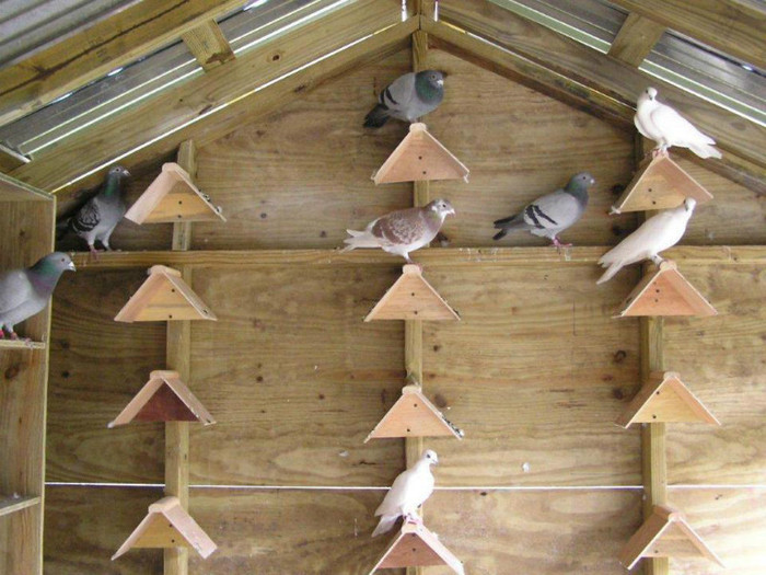 399660_279183512182208_103658258_n