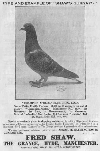 168008_105692406173427_1540174_n