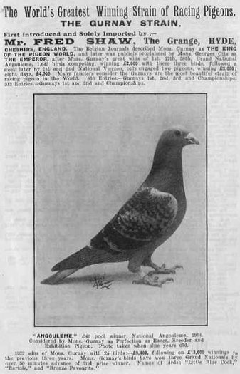 180060_105692512840083_6338669_n