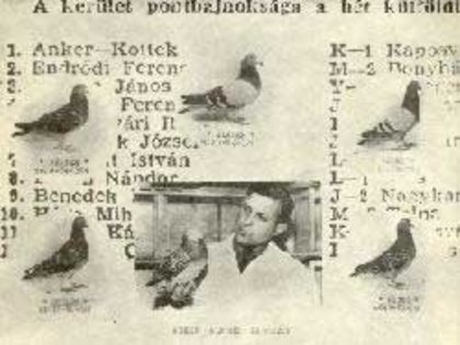 180259_104995412909793_6084203_n