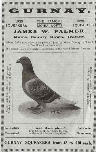 180612_105692256173442_7667199_n