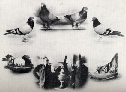 196822_118643708211630_4785826_n