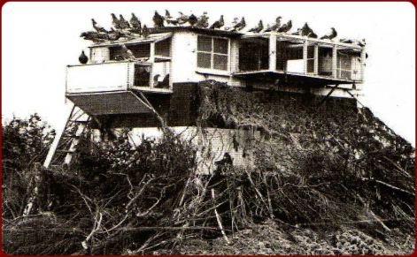 199023_121477391261595_3441331_n